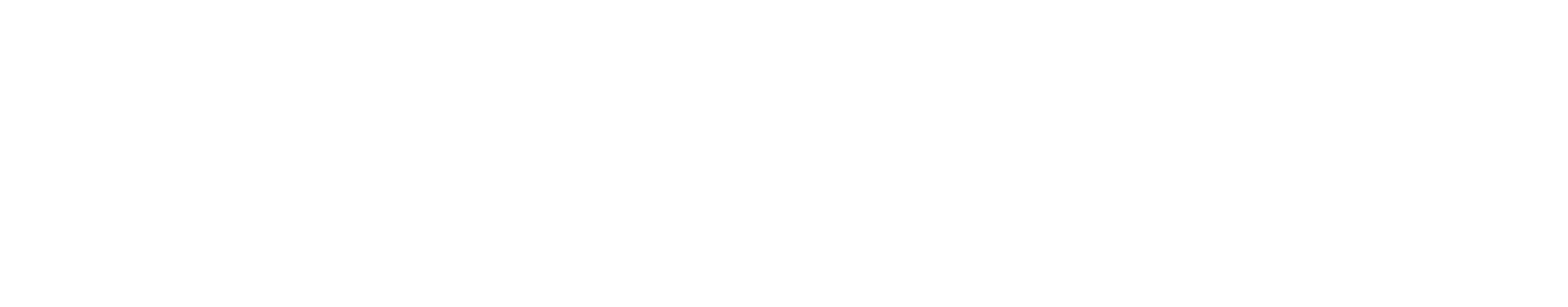 Dr. Ebrahim logo